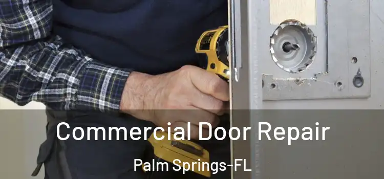 Commercial Door Repair Palm Springs-FL