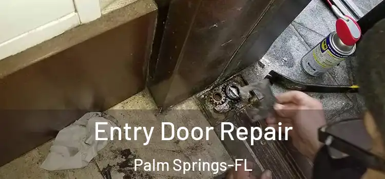 Entry Door Repair Palm Springs-FL